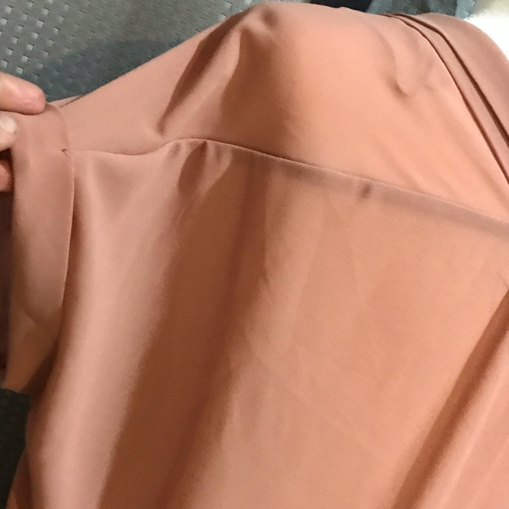 ❄️EUC❄️Oversized Rosé Dex Sheer Button Down Blouse - Picture 6 of 8